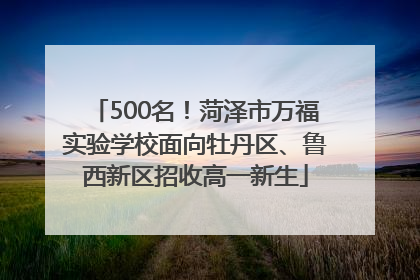 500名！菏泽市万福实验学校面向牡丹区、鲁西新区招收高一新生