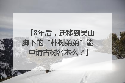 8年后，迁移到吴山脚下的“朴树弟弟”能申请古树名木么？