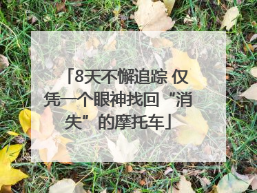 8天不懈追踪 仅凭一个眼神找回“消失”的摩托车