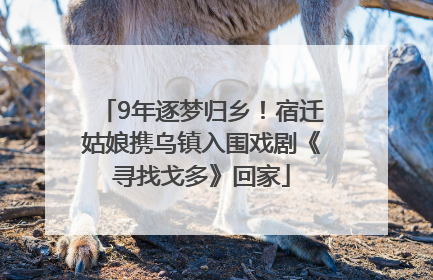 9年逐梦归乡！宿迁姑娘携乌镇入围戏剧《寻找戈多》回家
