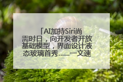 AI加持Siri尚需时日，向开发者开放基础模型，界面设计液态玻璃首秀……一文速览苹果WWDC