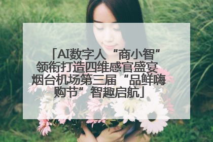 AI数字人“商小智”领衔打造四维感官盛宴 烟台机场第三届“品鲜嗨购节”智趣启航