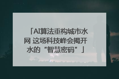 AI算法重构城市水网 这场科技峰会揭开水的“智慧密码”