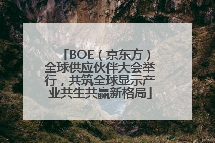 BOE（京东方）全球供应伙伴大会举行，共筑全球显示产业共生共赢新格局