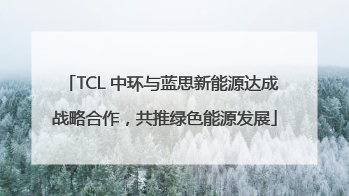 TCL 中环与蓝思新能源达成战略合作，共推绿色能源发展