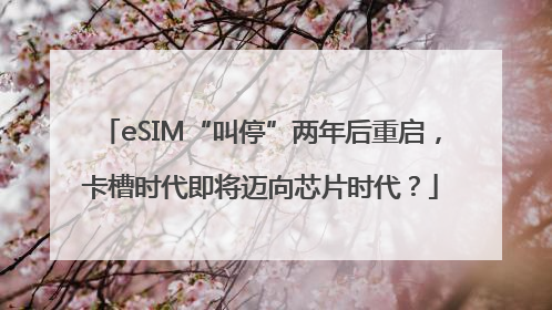 eSIM“叫停”两年后重启，卡槽时代即将迈向芯片时代？